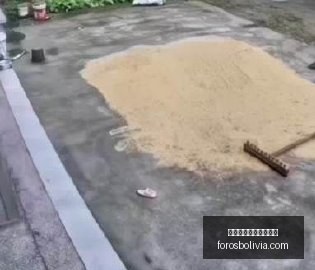 战队春季赛,强势崛起,荣耀电竞见,熊猫体育,熊猫体育官网,官网首页